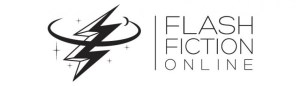 cropped-flash_logo_web-011