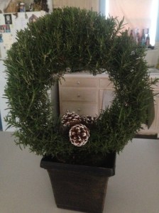 When I sell a story, my partner buys me a potted plant. This is rosemary in the shape of a wreath. :D