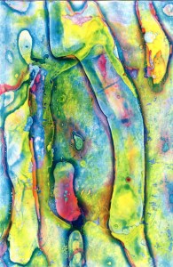 Encroach by Stacy Tompkins