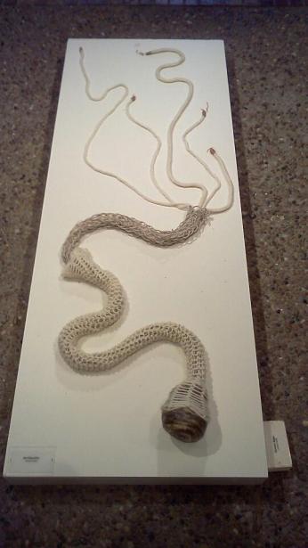 Tompkins_Sculpture_Mixed_Media_Architeuthis8feetX3FeetX6inches