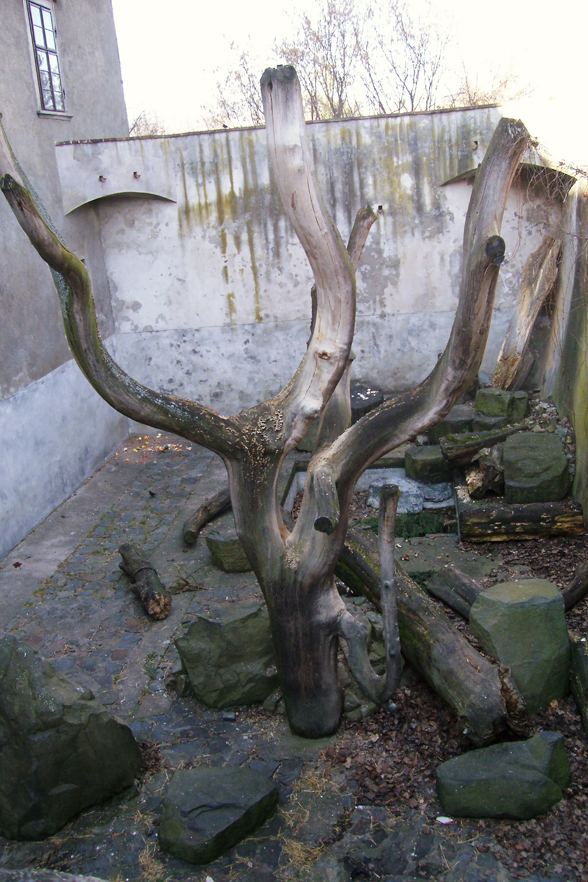 ceskykrumlov (11).jpg